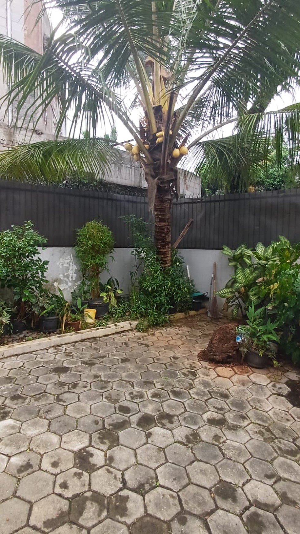 Disewakan Rumah Siap Huni Depan Taman dan Strategis @Bintaro Sektor 9