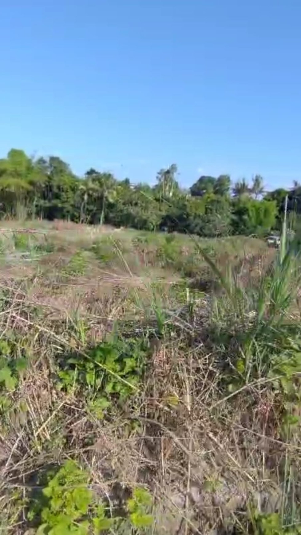 Freehold  - Rare Gem! Land in Pererenan