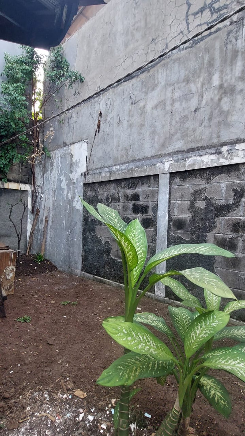 Rumah murah di bintaro sektor 5