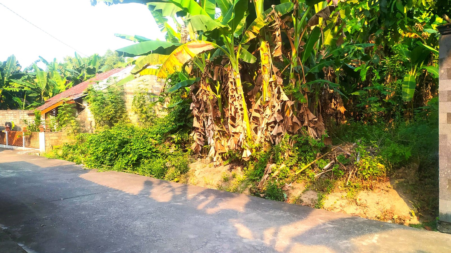 Tanah Luas 348 Meter Persegi Lokasi Dekat dari Jalan Wonosari Berbah Sleman 