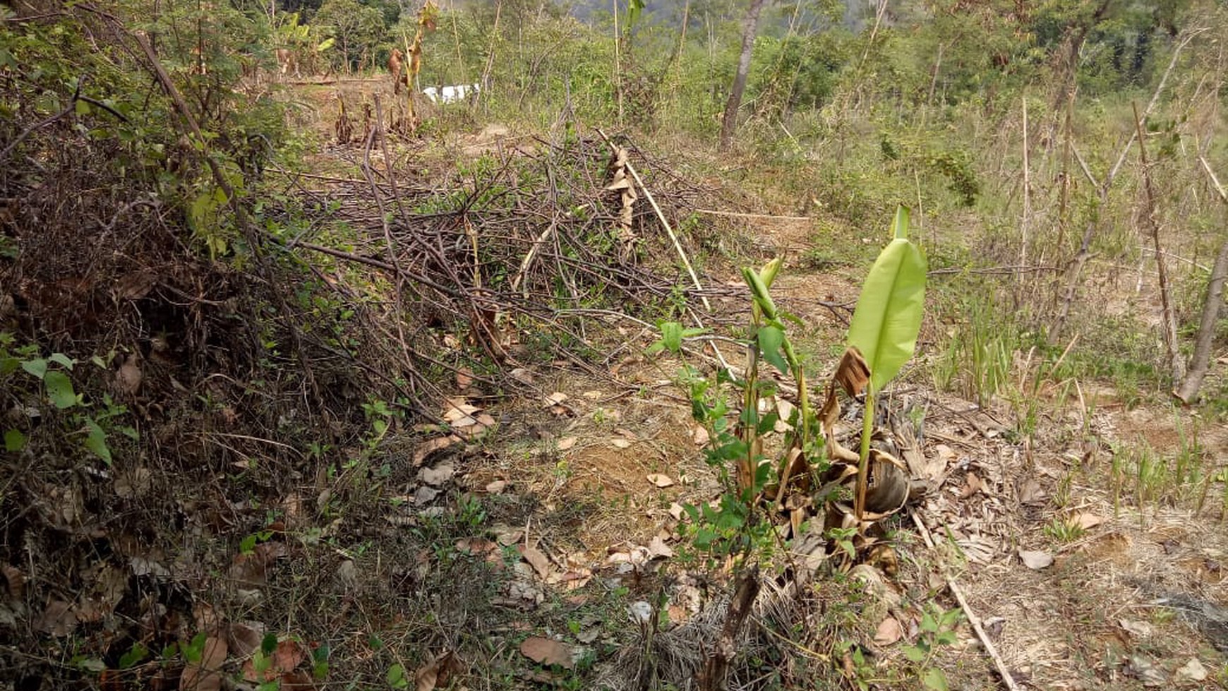 Tanah kerawang di kampung loji, Dr pasar loji +/- 2km