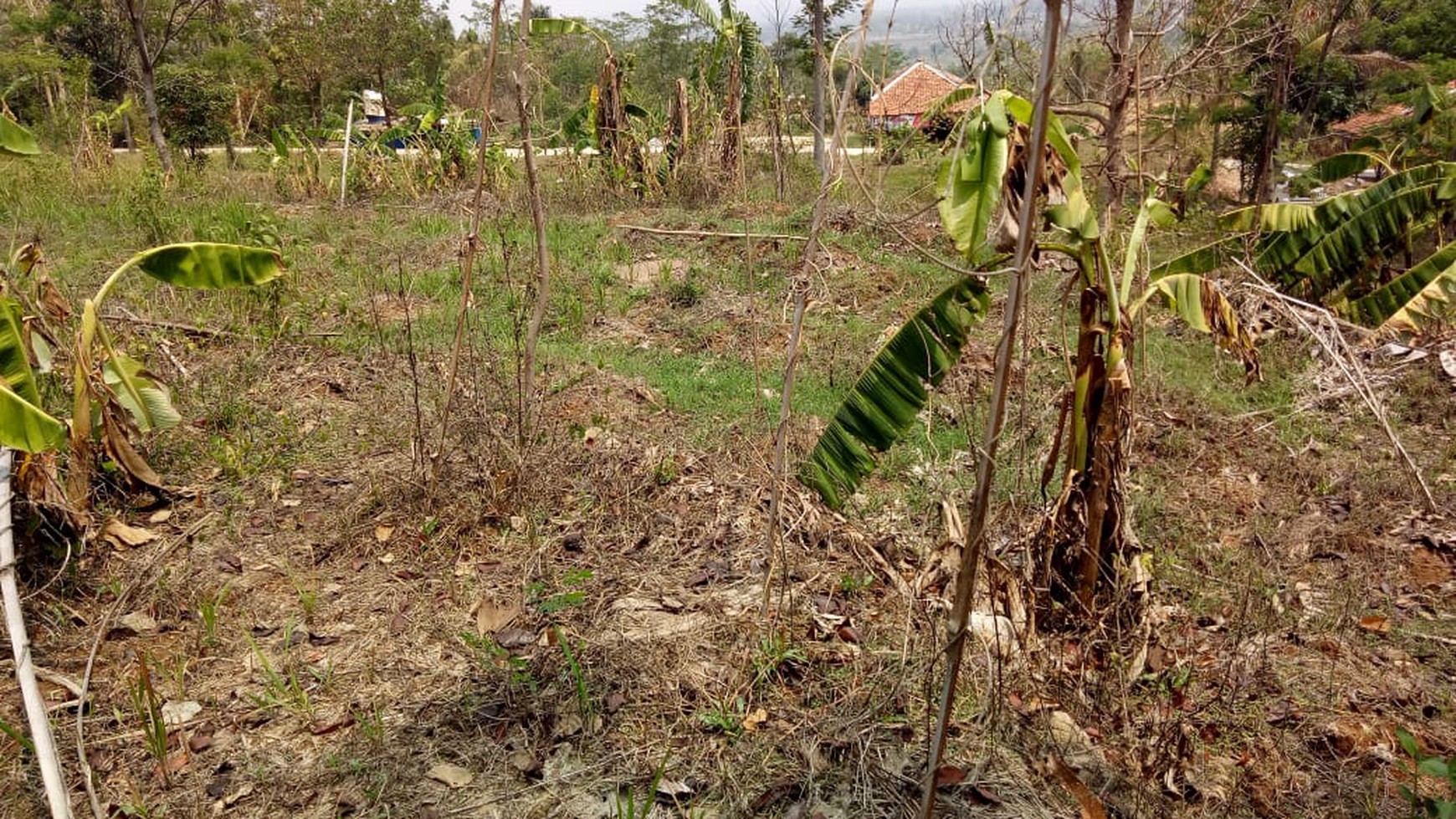 Tanah kerawang di kampung loji, Dr pasar loji +/- 2km