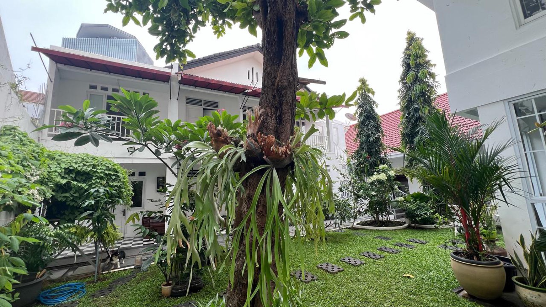 Rumah siap huni zona komersial cikini menteng jakarta pusat 