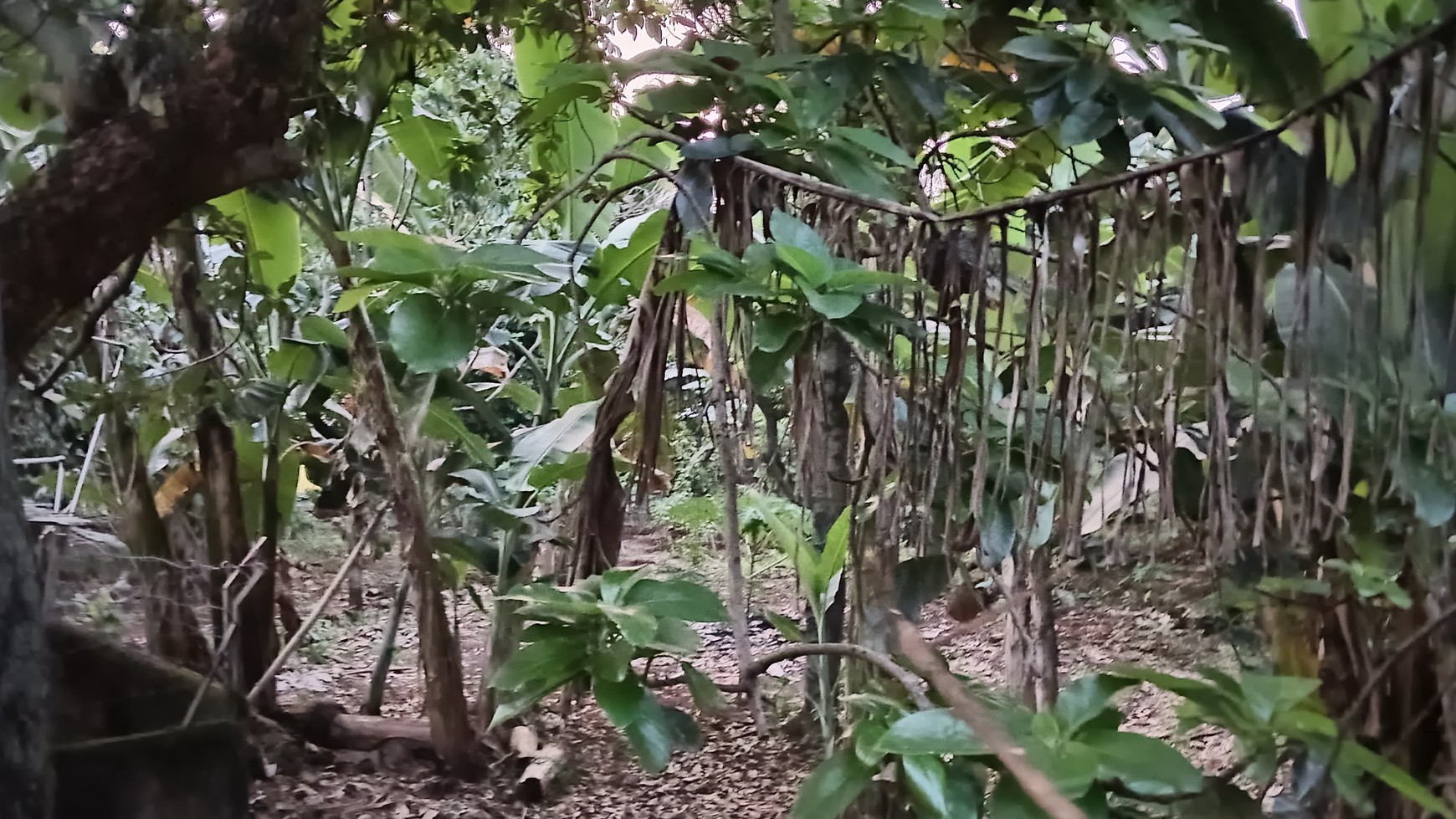 Tanah di Pondok Labu Cilandak