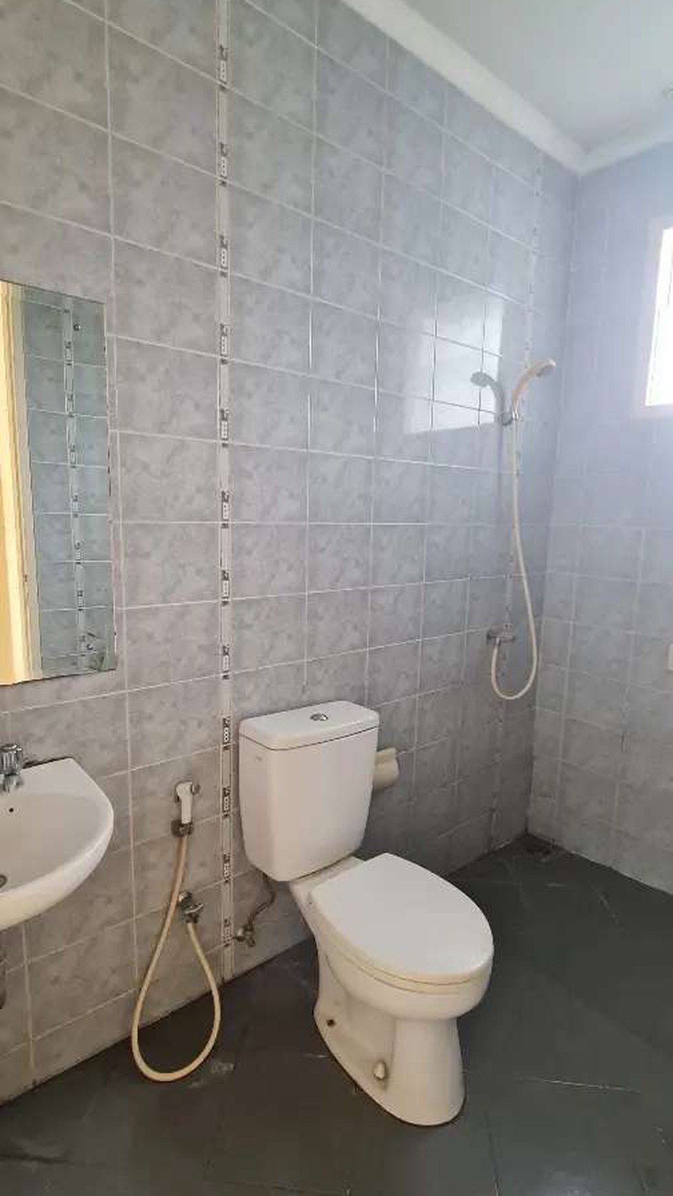 Termurah. Rumah Bagus Delatinos Patagonia, BSD