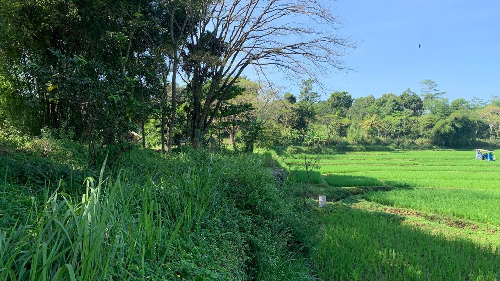 Termurah Tanah Kavling Strategis Di Cianjur Jawa Barat