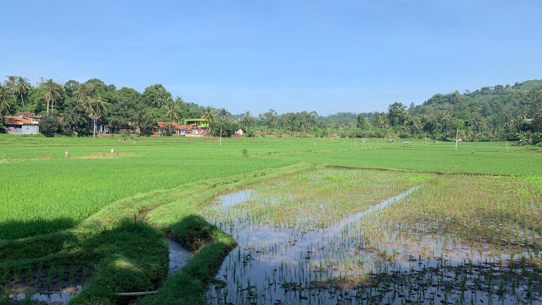 Termurah Tanah Kavling Strategis Di Cianjur Jawa Barat