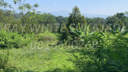 Tanah Luas Untuk Wisata / Perumahan di Cibinong Hilir, Cianjur