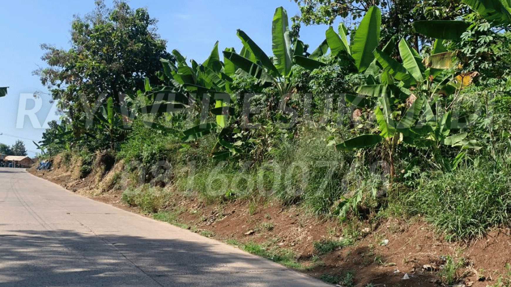 Tanah Luas Untuk Wisata / Perumahan di Cibinong Hilir, Cianjur