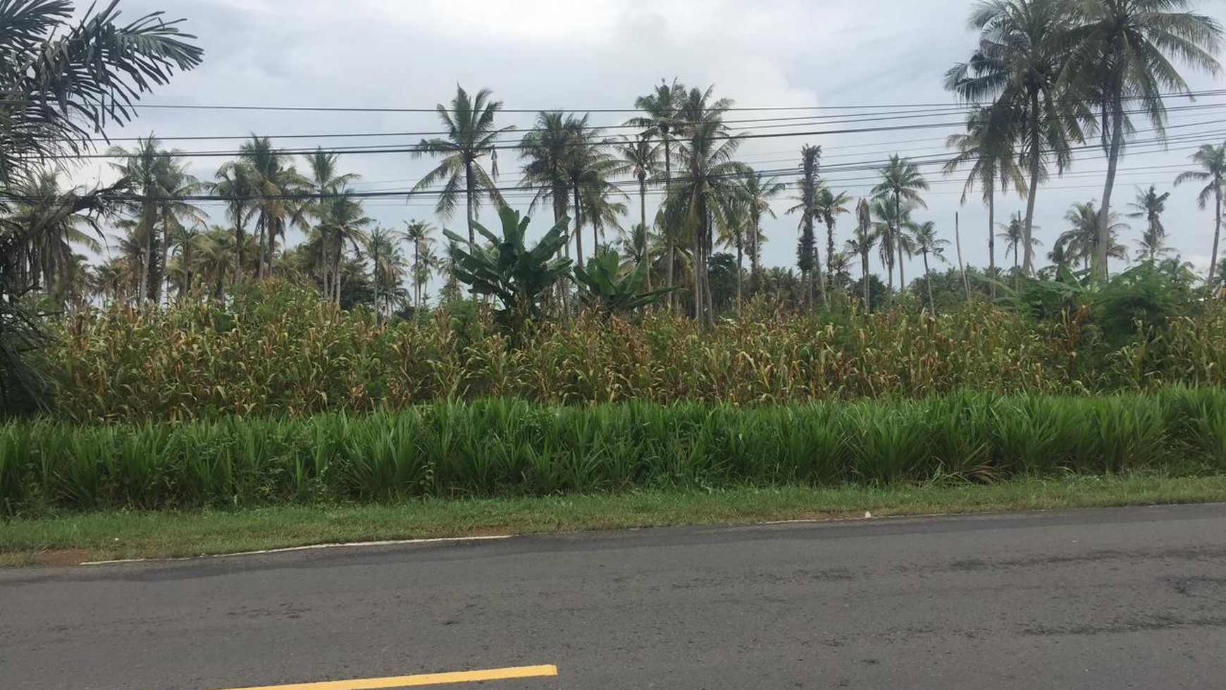 Tanah Murah di Jalan Lintas Sumatera Industri Kalianda Lampung Selatan