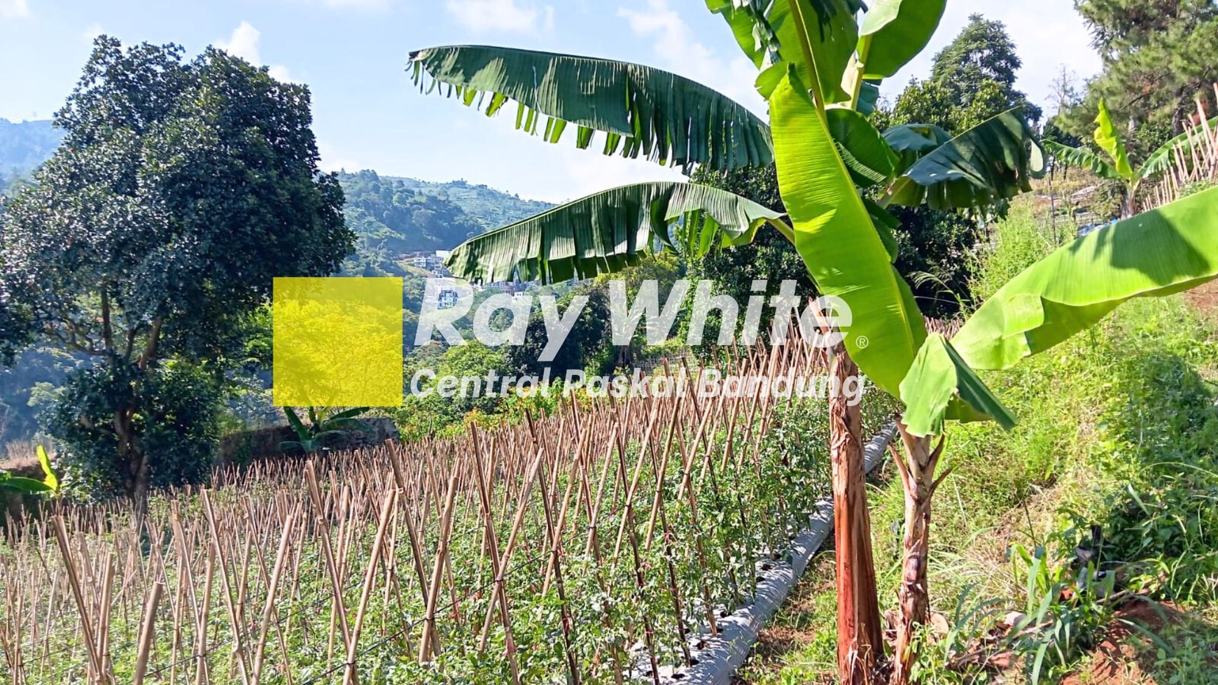 Tanah Kebun di Desa Mekarwangi Lembang Bandung