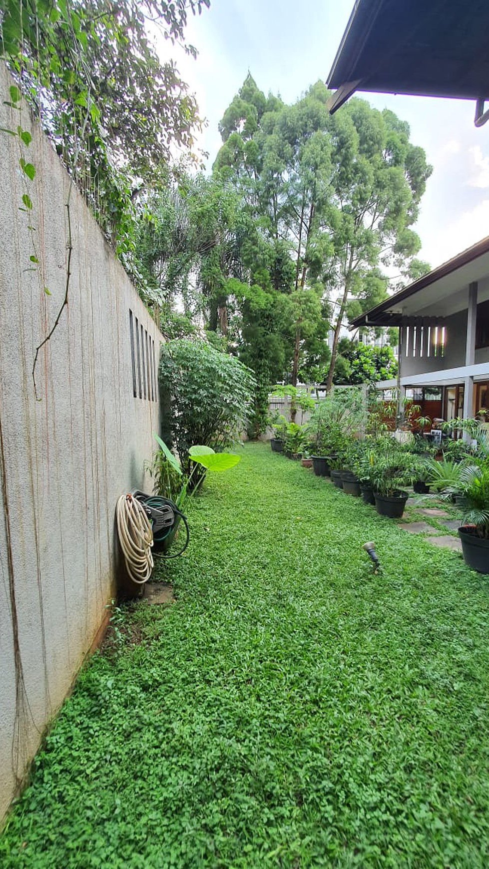 Rumah Bagus Di Jl Cempaka Pesanggrahan Jakarta Selatan