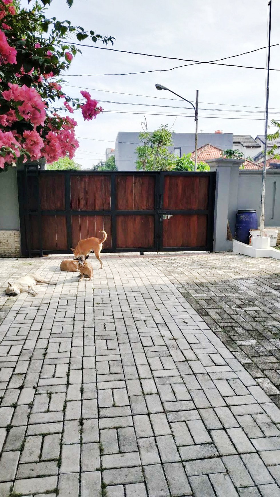 Rumah Bagus Di Jl Eka Bakti BSD Tangerang Selatan