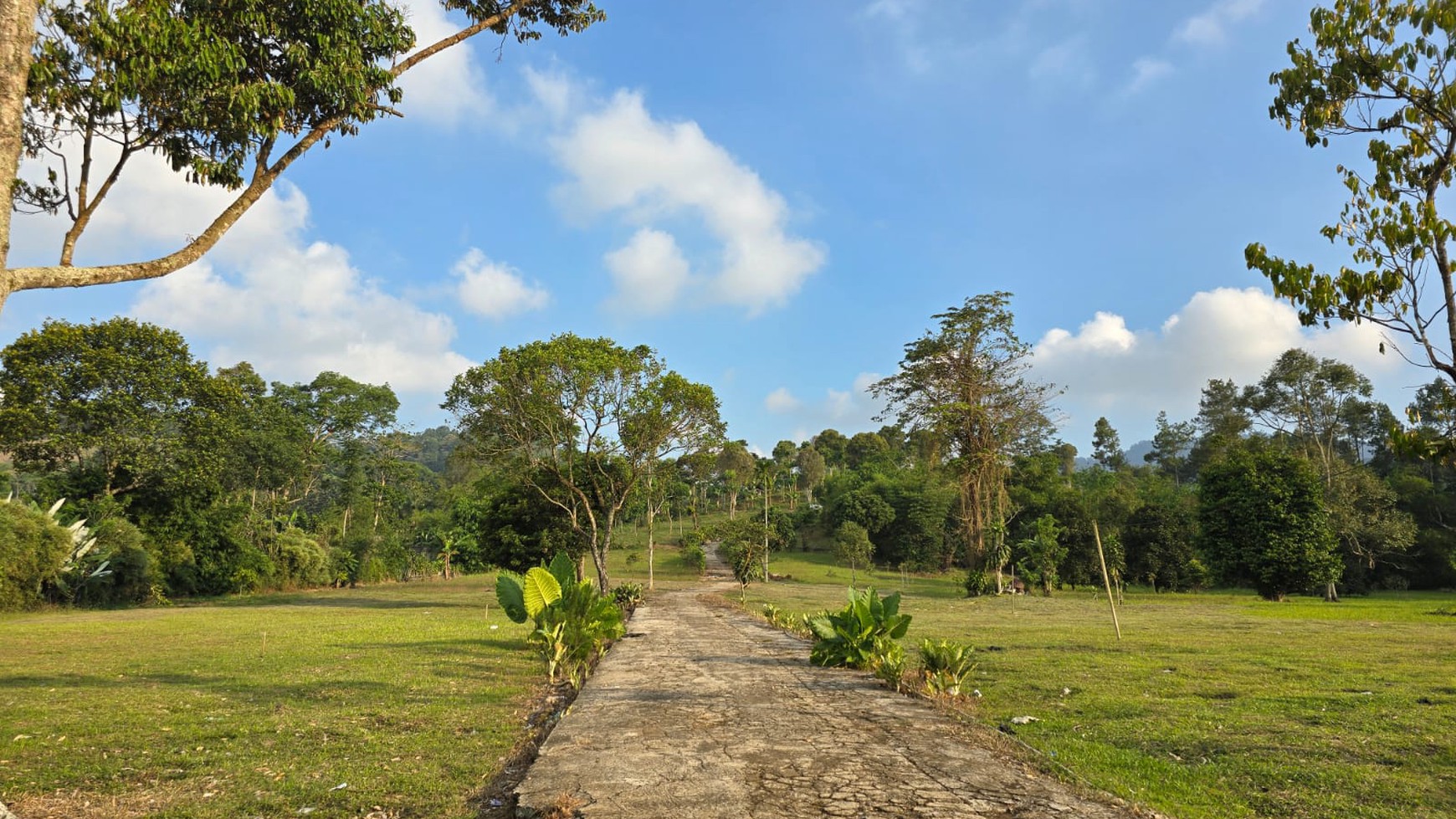 Kavling Di Lokasi Strategis Jl Marwati, Balekembang, Cikanere, Sukaresmi