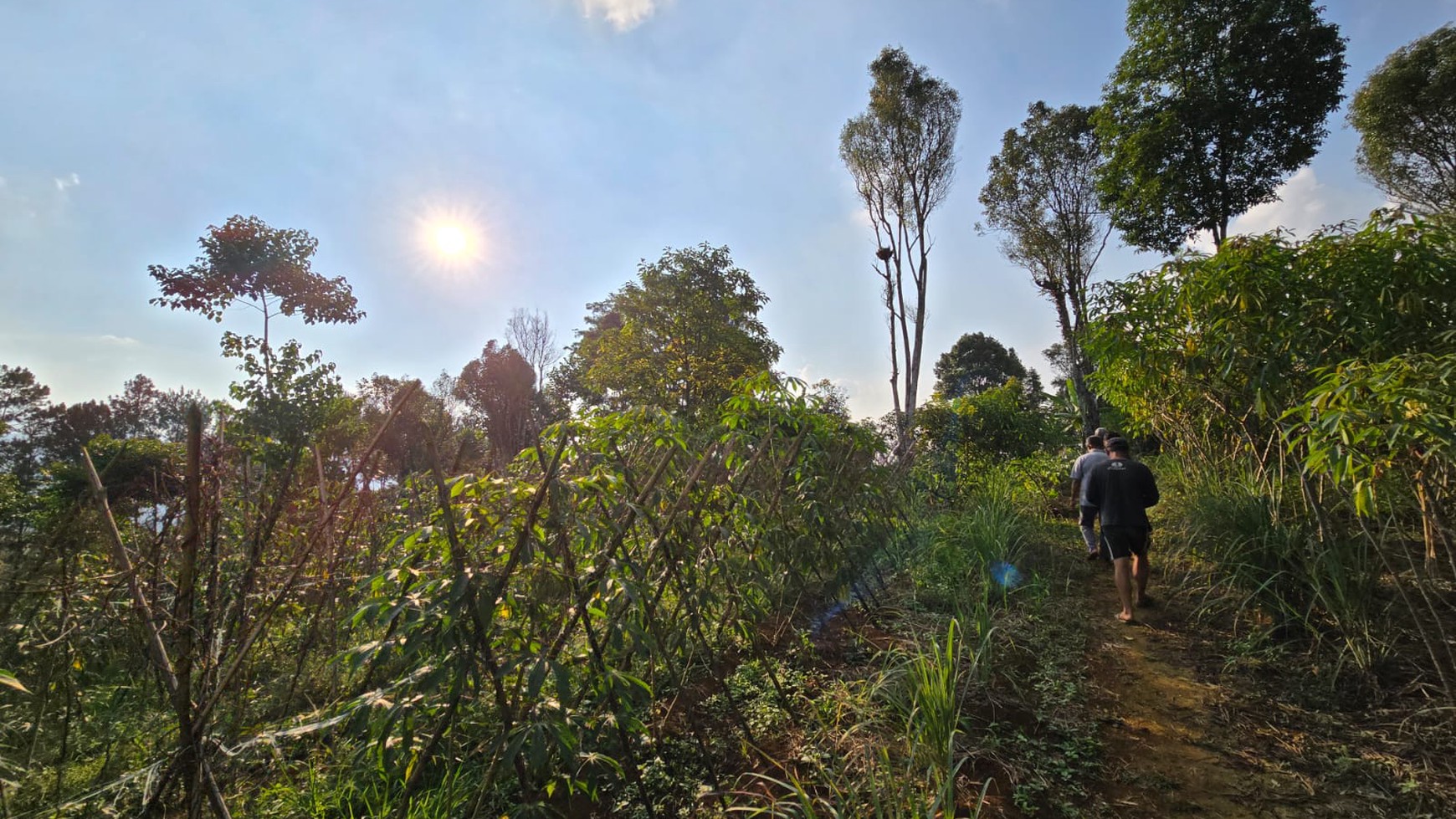 Kavling Di Lokasi Strategis Jl Marwati, Balekembang, Cikanere, Sukaresmi