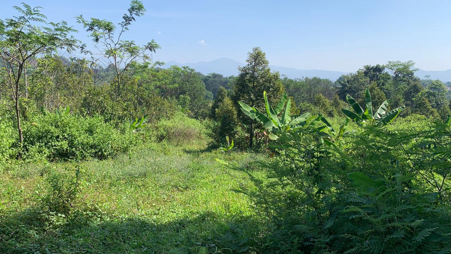 Kavling Di Lokasi Strategis Jl Cibinong Hilir, Cianjur