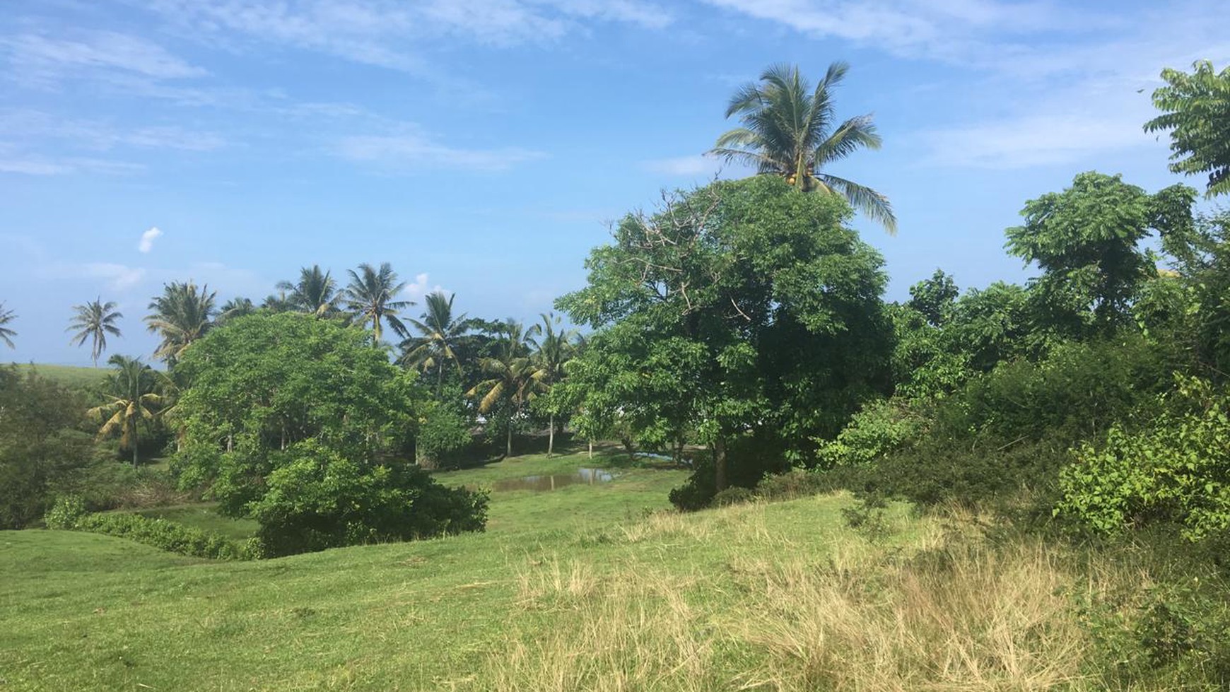 Freehold beachfront land 680 sqm on panoramic hilltop in Kelecung Tabanan