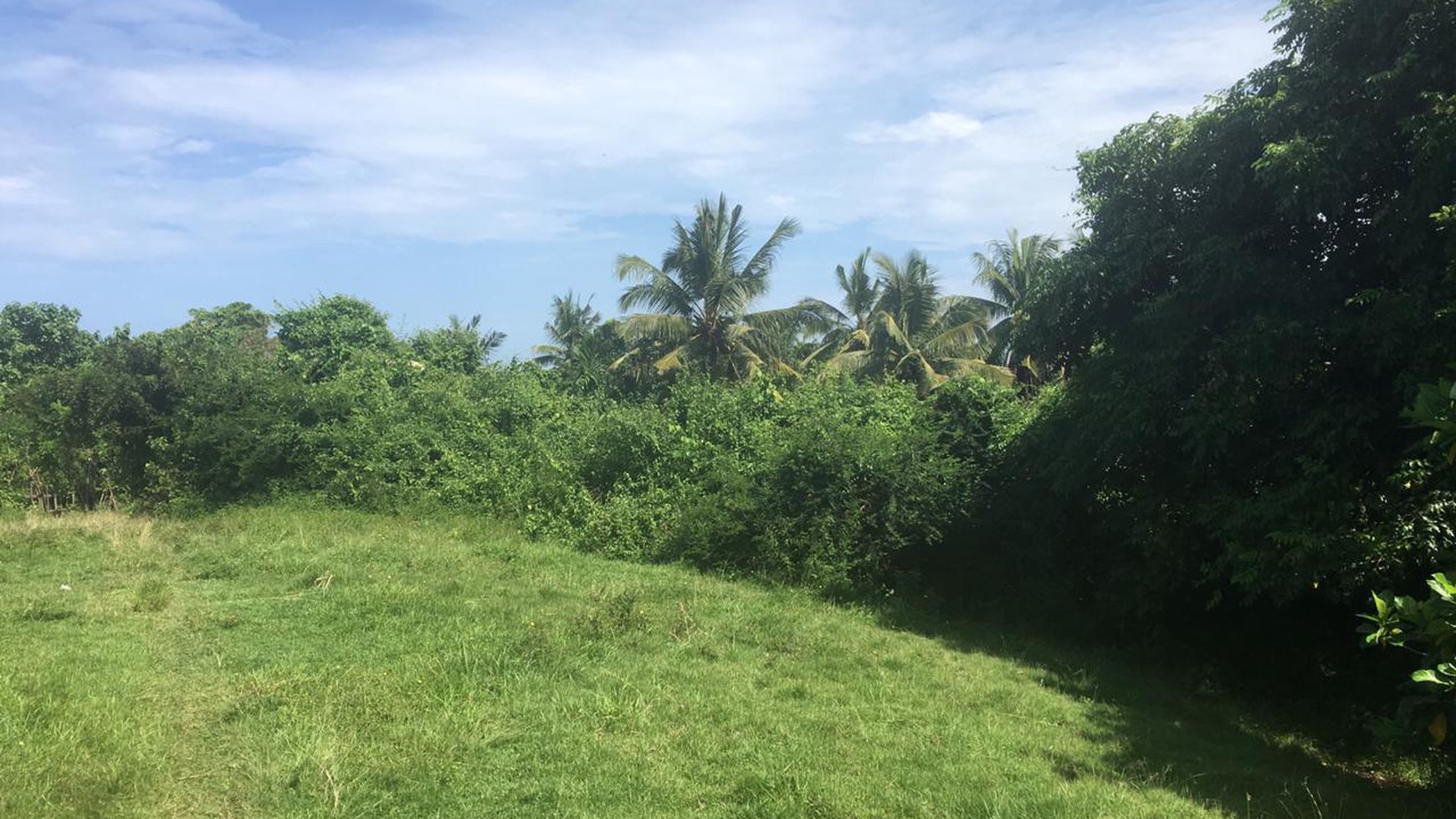 Freehold beachfront land 680 sqm on panoramic hilltop in Kelecung Tabanan