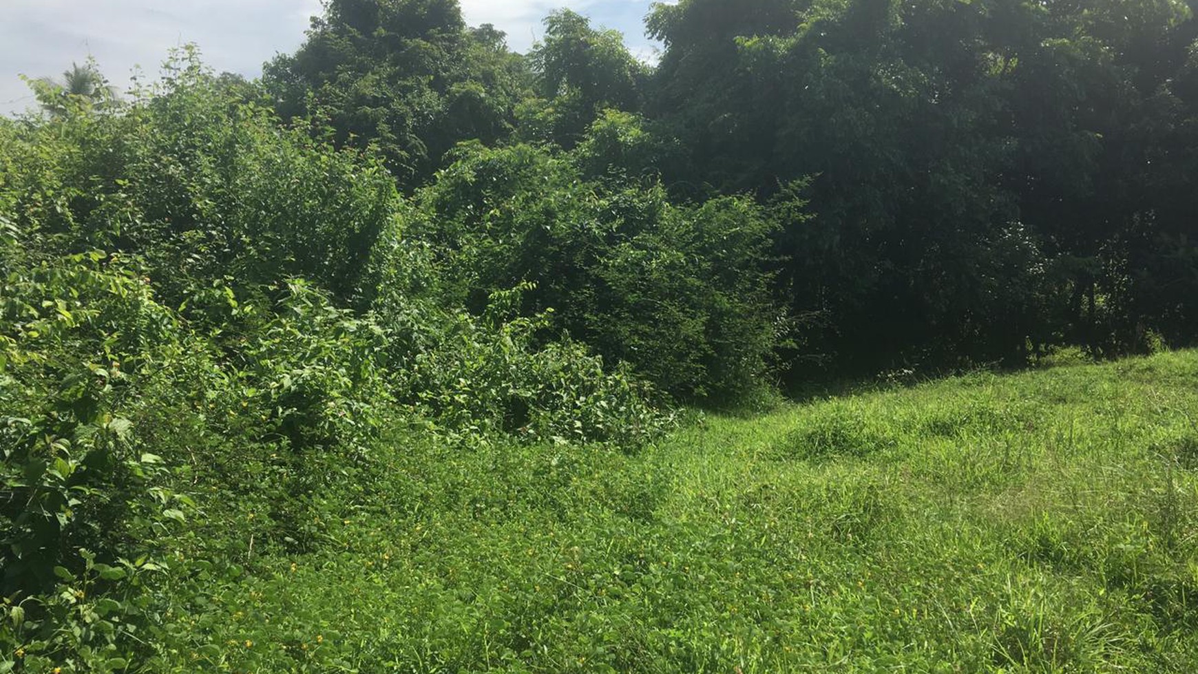 Freehold beachfront land 680 sqm on panoramic hilltop in Kelecung Tabanan