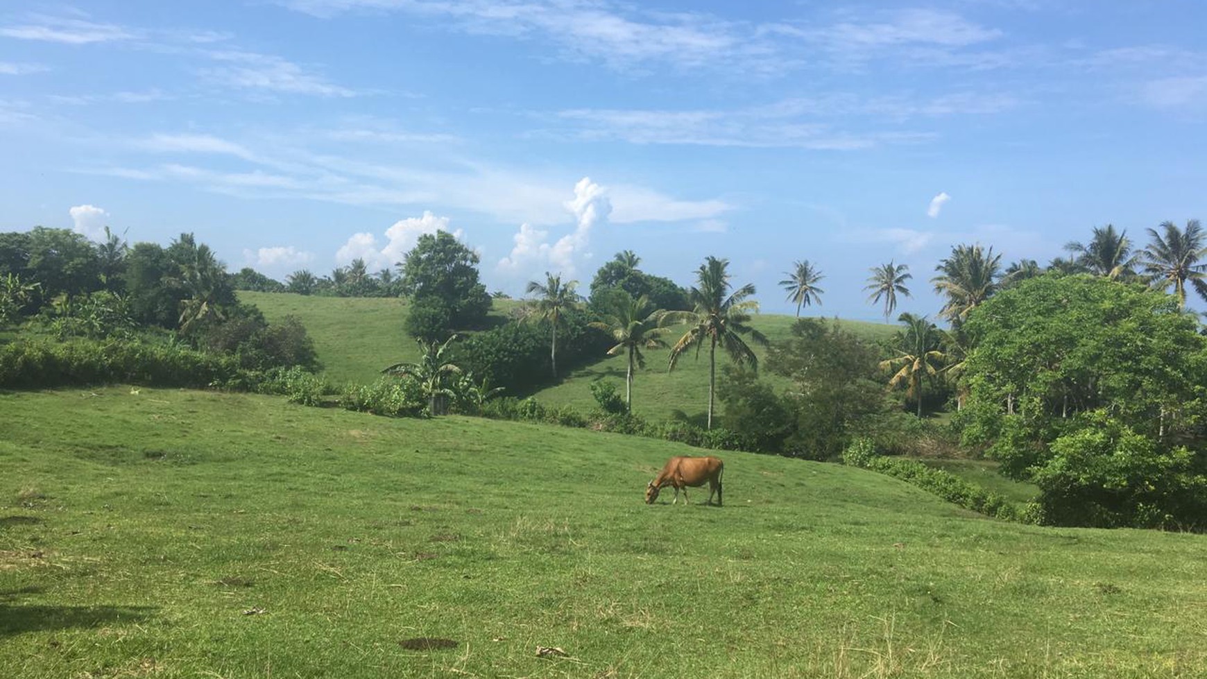 Freehold beachfront land 680 sqm on panoramic hilltop in Kelecung Tabanan