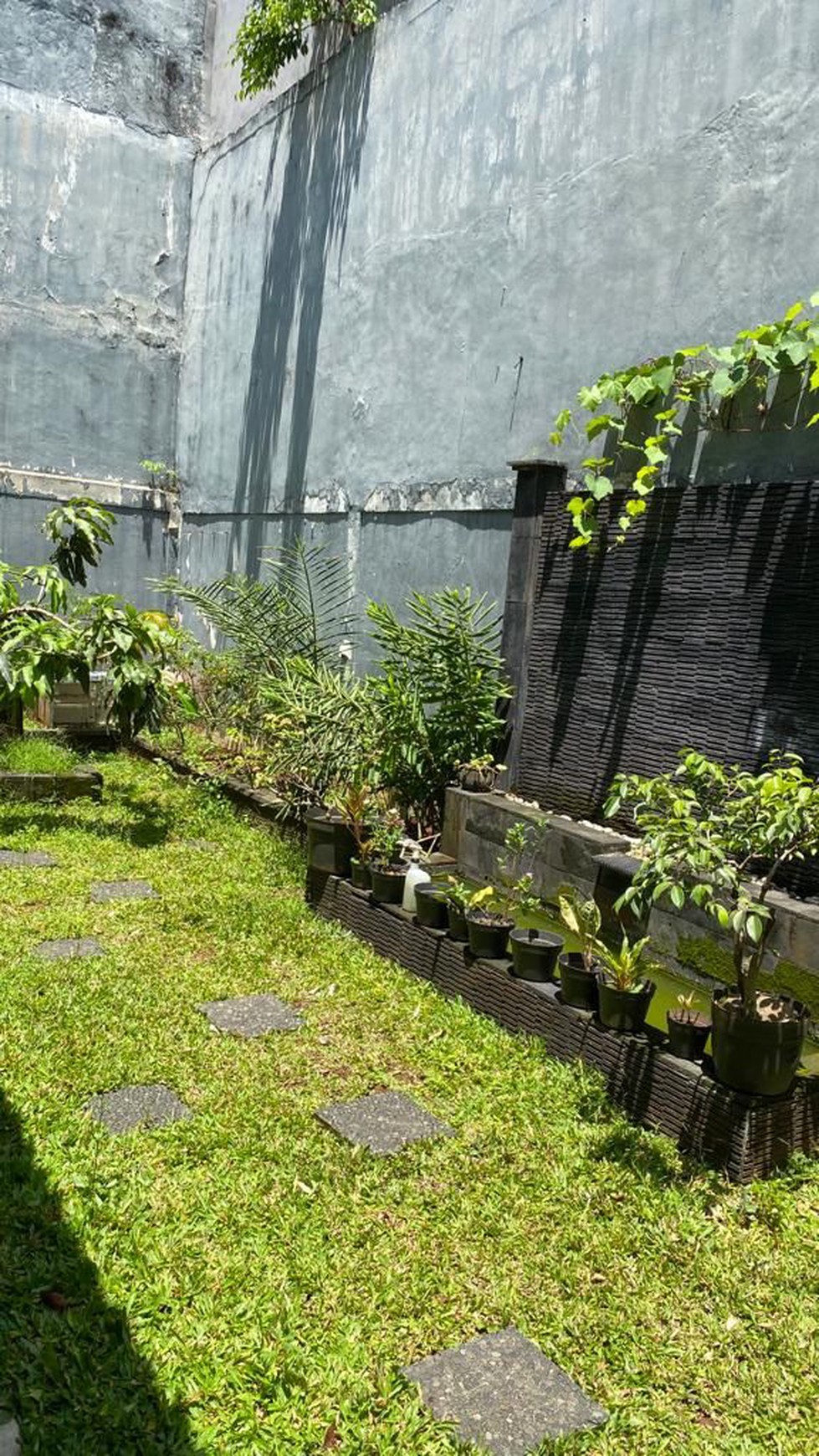 Rumah Dengan Taman Depan Dan Belakang di Sektor 7 Bintaro Jaya