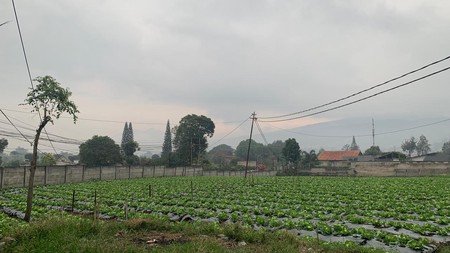 Tanah Darat Lokasi  Strategis di Lembang 