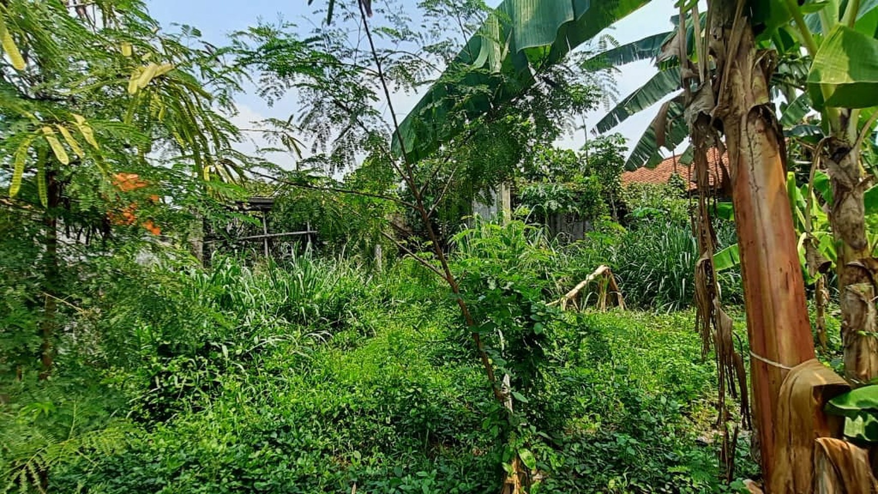 Kavling Lokasi Strategis dan Cocok untuk Cluster @Serpong