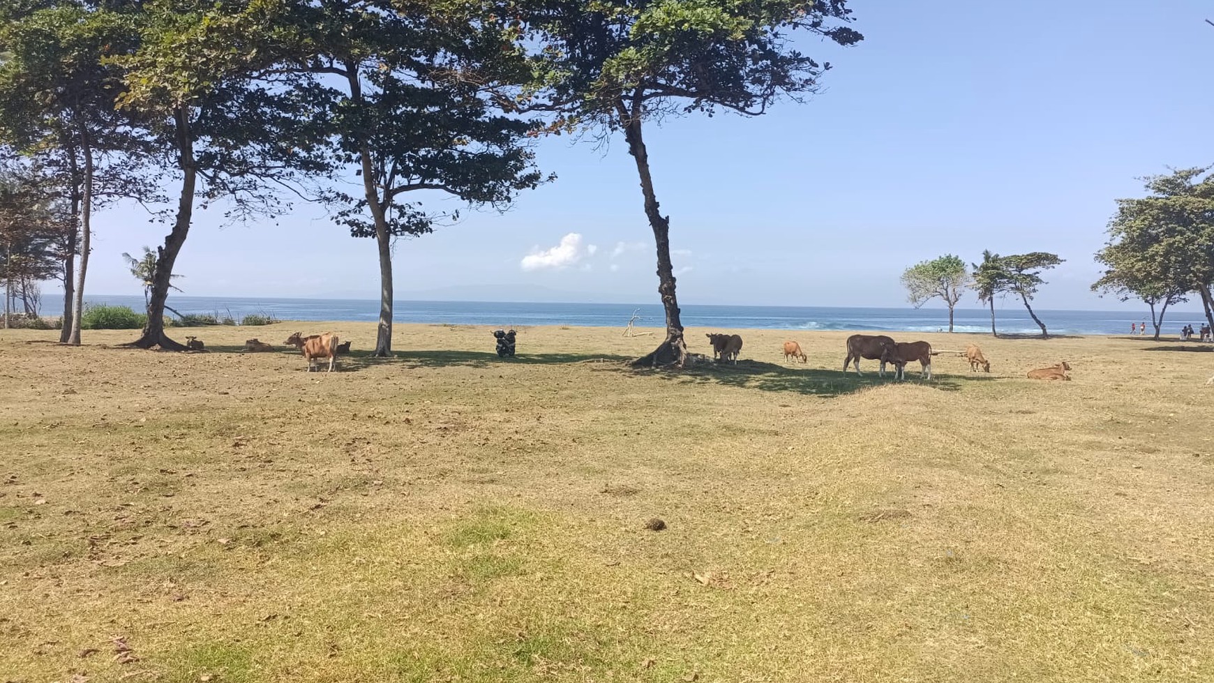 Beachfront Land in Great Location Saba