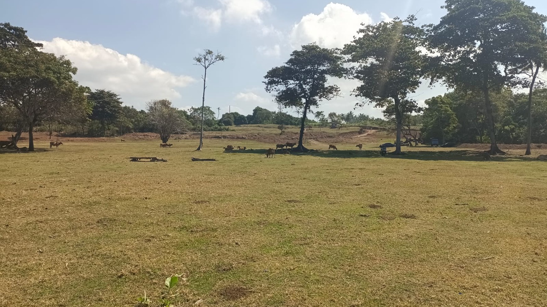 Land Freehold in Great Location Saba Beach Bali