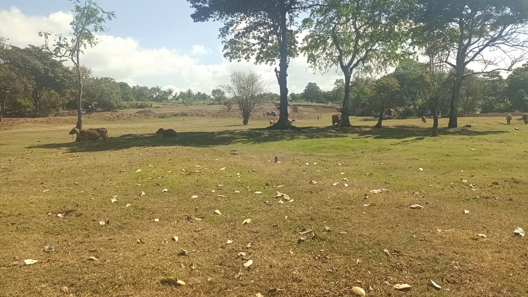 Land Freehold in Great Location Saba Beach Bali