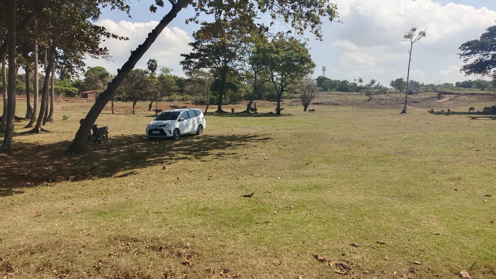 Land Freehold in Great Location Saba Beach Bali