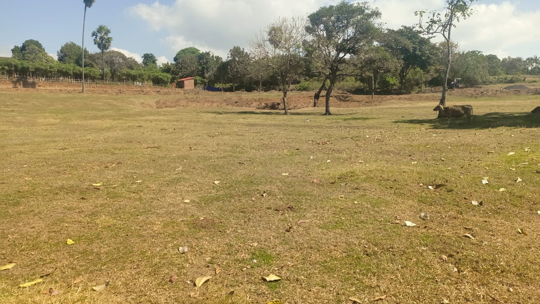 Land Freehold in Great Location Saba Beach