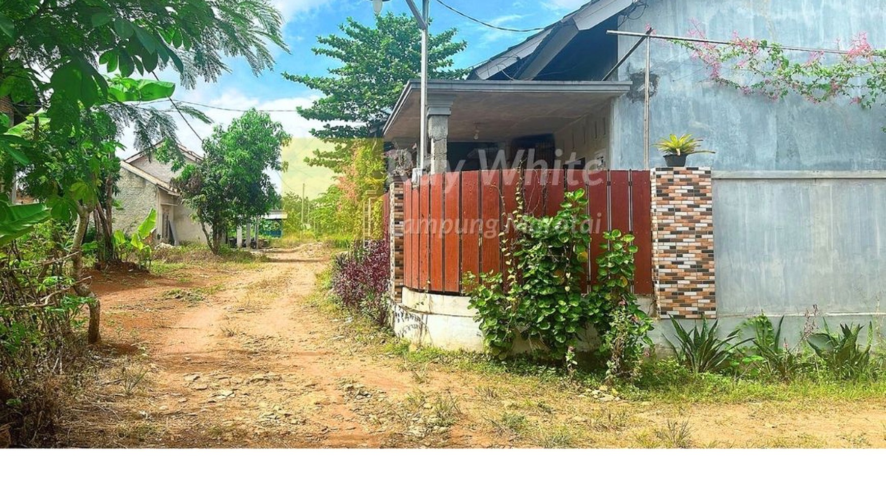 dijual rumah murah