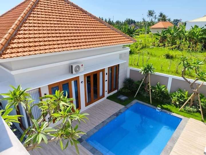 New Villa With Rice Field View For Sale In Lovina