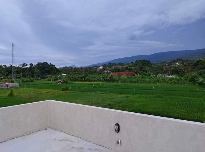 New Villa With Rice Field View For Sale In Lovina