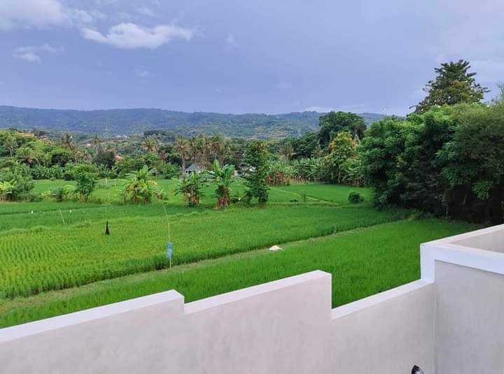 New Villa With Rice Field View For Sale In Lovina