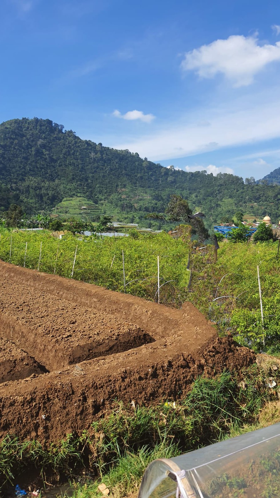 Tanah Dijual di Cianjur, Pinggir Jalan Raya Cipanas