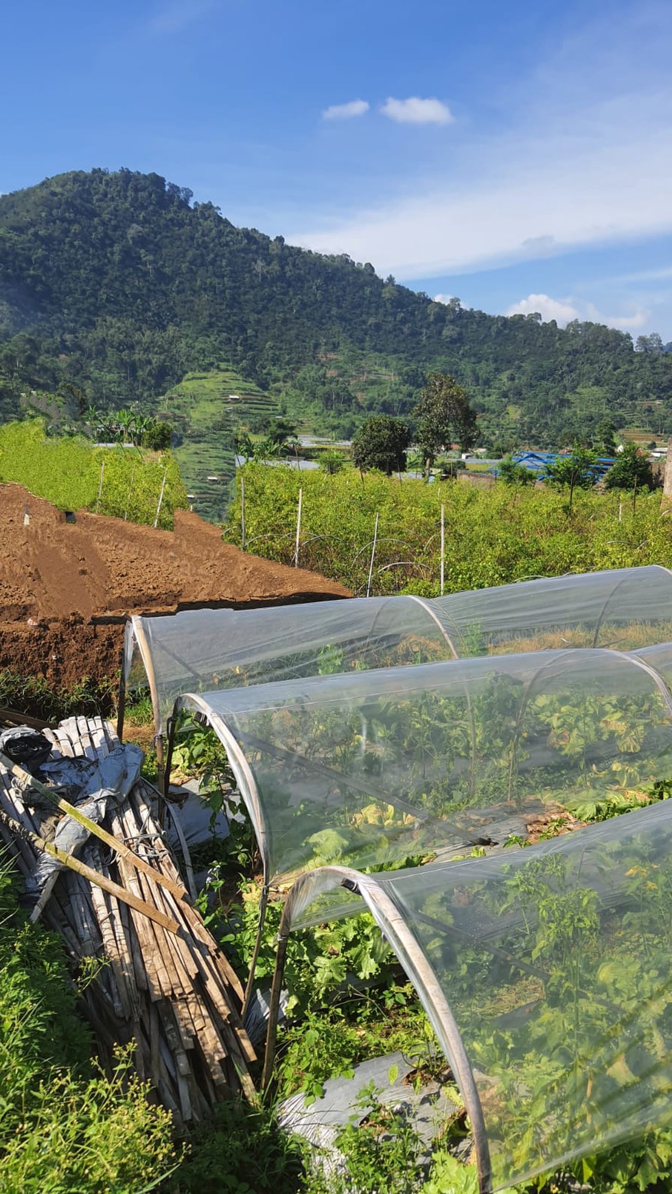 Tanah Dijual di Cianjur, Pinggir Jalan Raya Cipanas