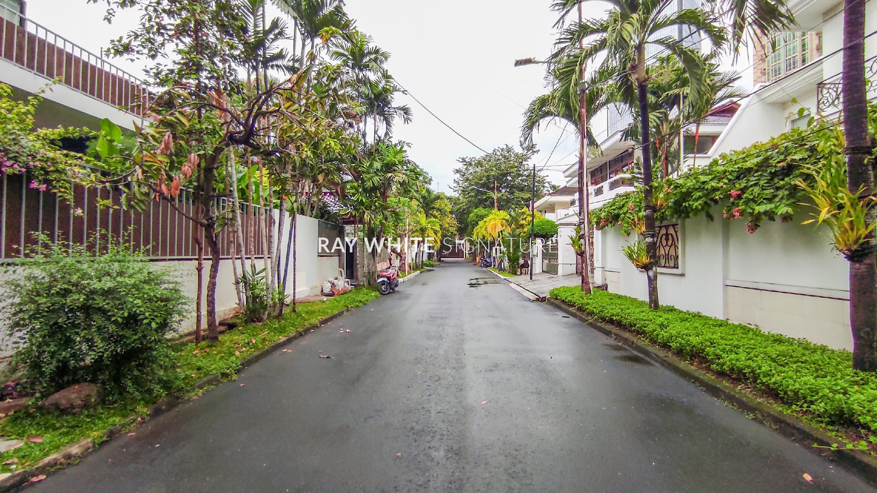 Exclusive Luxury and Tranquil House for Rent in Prime Location Mega Kuningan Area