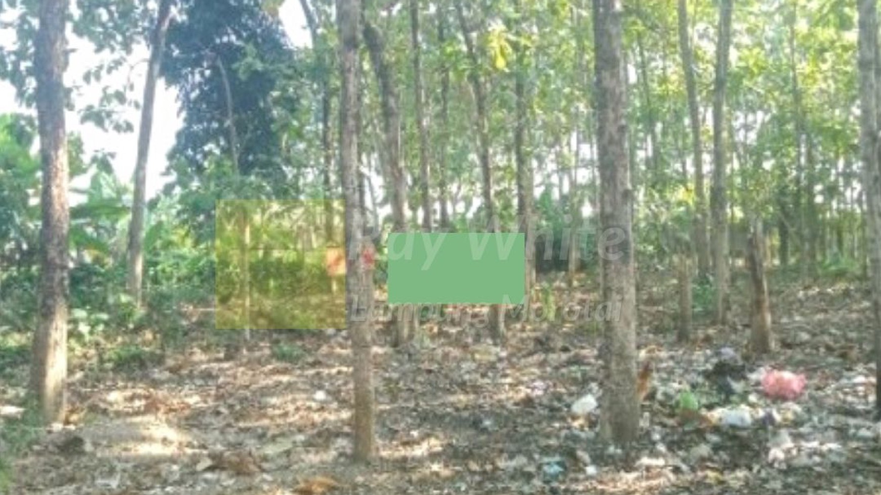 tanah kebun dijual purwokerto