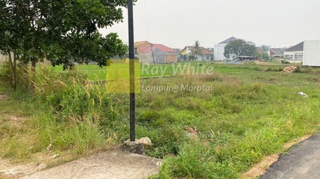 Tanah Luas Harga Murah Lokasi Kota B. Lampung