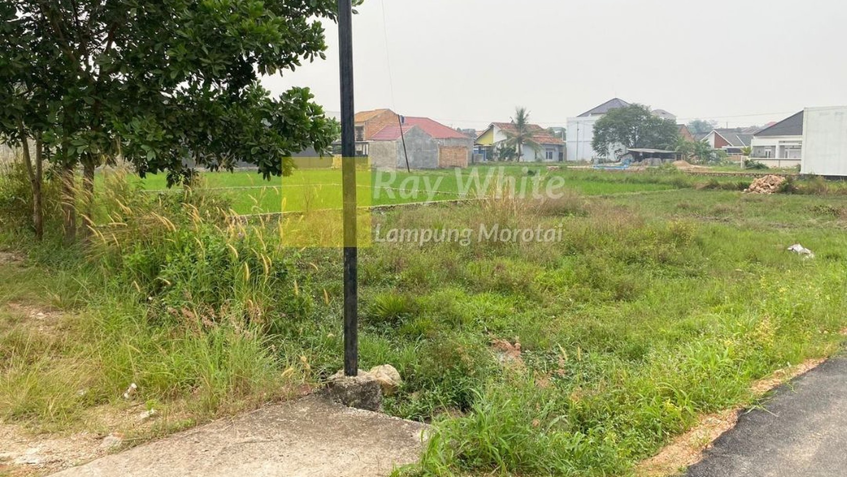 Tanah Luas Harga Murah Lokasi Kota B. Lampung