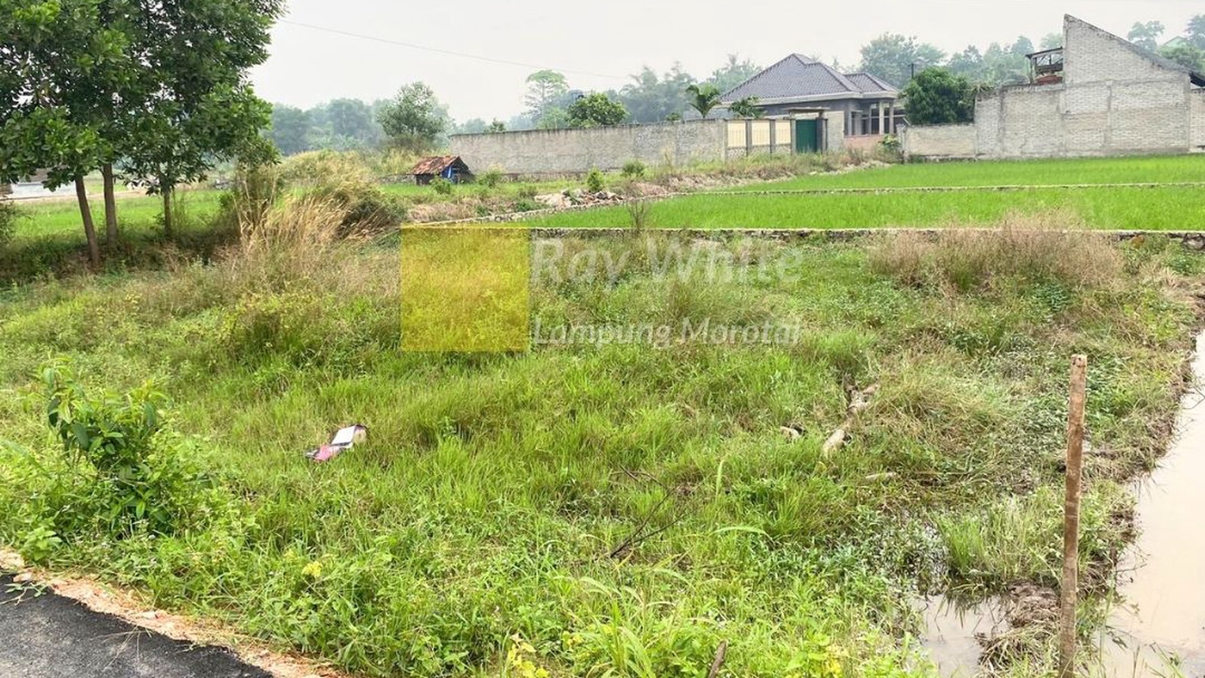 Tanah Luas Harga Murah Lokasi Kota B. Lampung