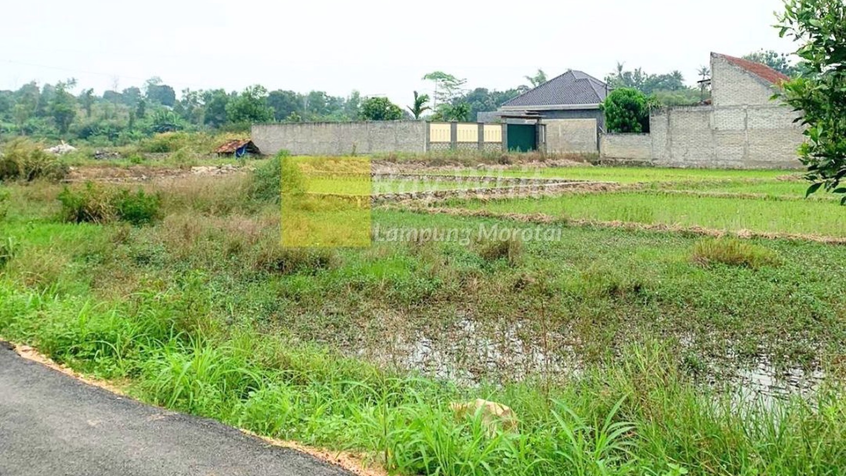 Tanah Luas Harga Murah Lokasi Kota B. Lampung