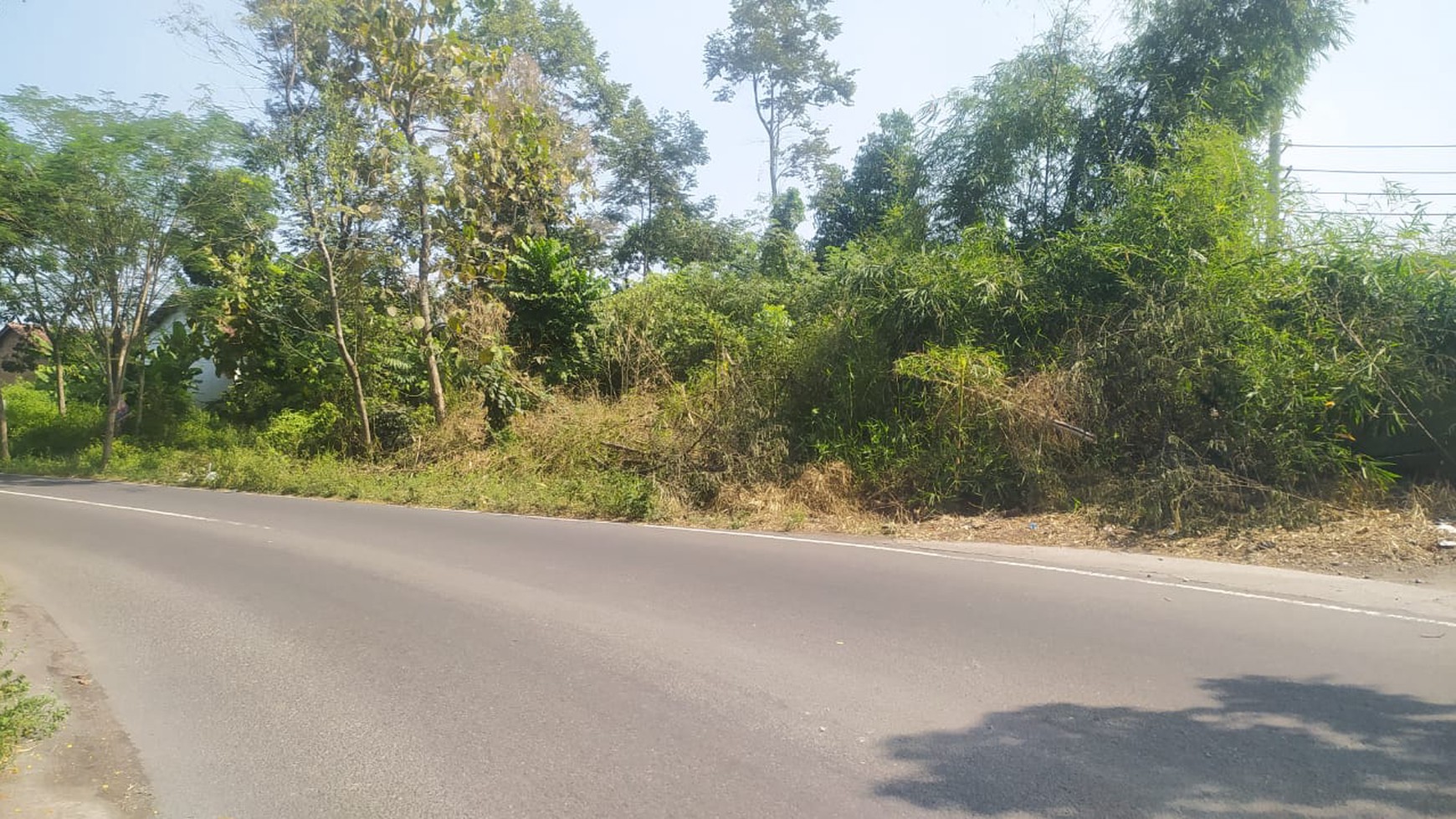 Tanah Pekarangan Luas 2100 Meter Persegi Lokasi Jalan Raya Selomartani, Kalasan