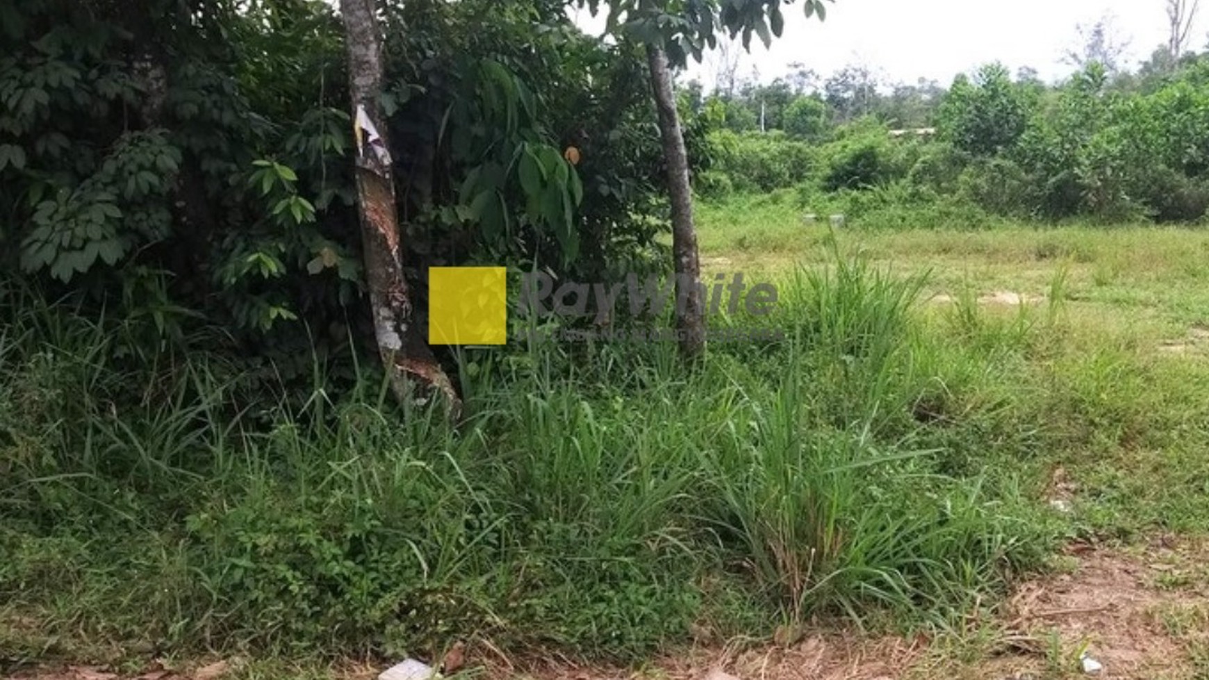 Dijual Cepat Tanah di Talang Keramat Palembang