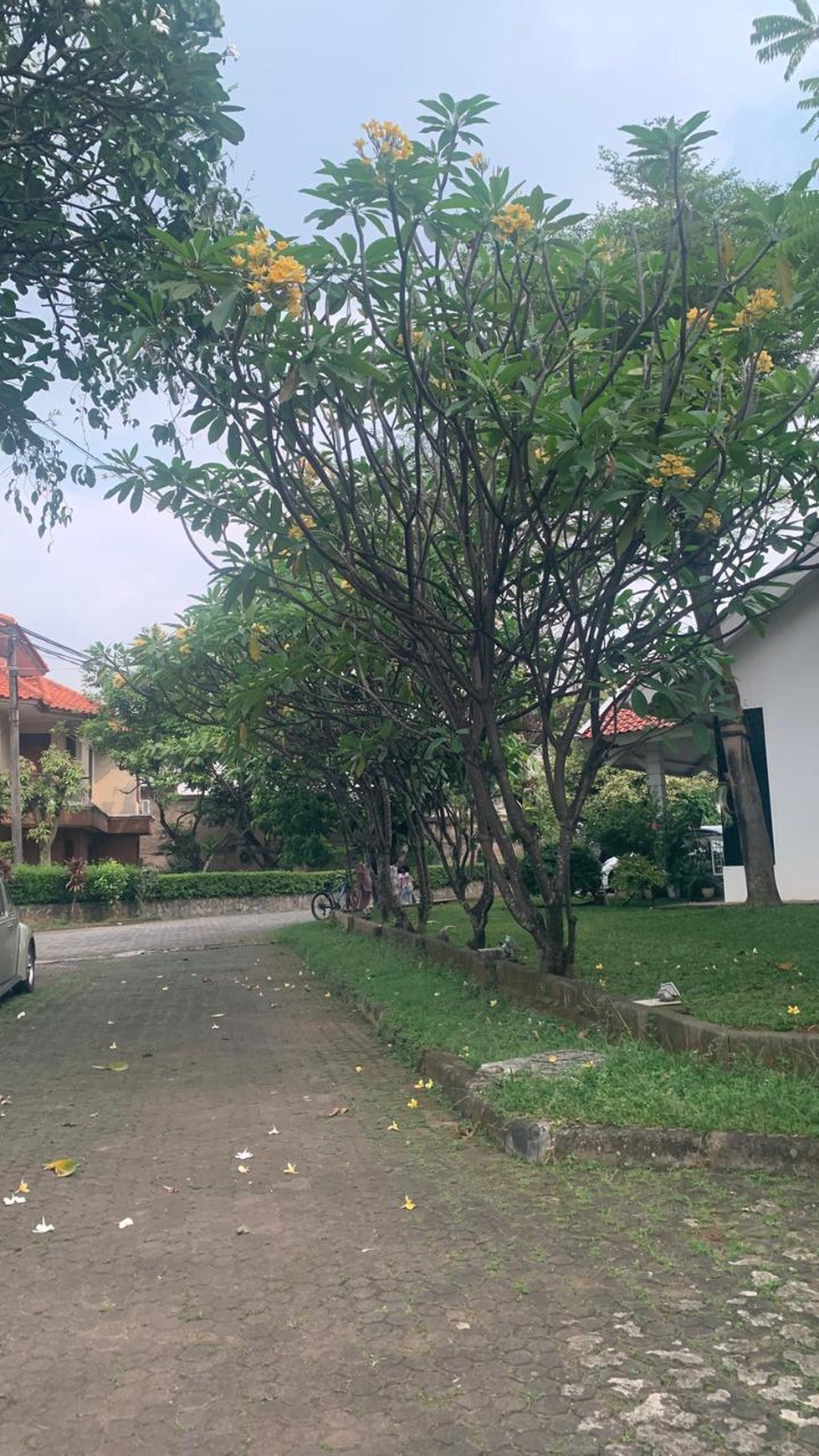 Rumah Bagus Di Jl Pelangi Bintaro Ciputat Kota Tangerang Selatan