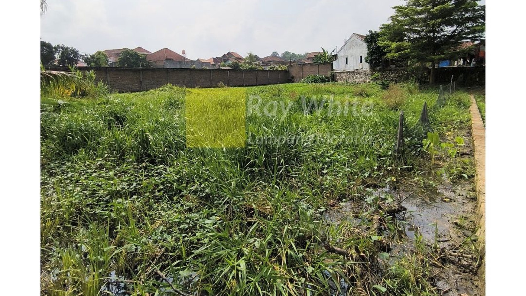 Dijual tanah pinggir jalan