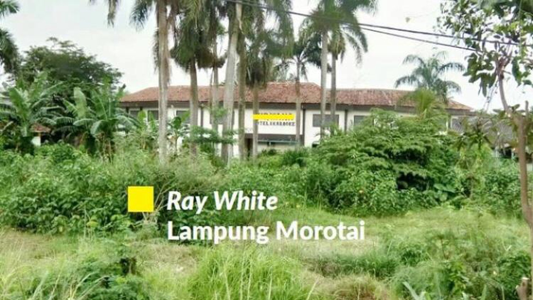 Tanah murah dipinggir jalan Ir.Soekarno-Hatta campang sukabumi Bandarlampung