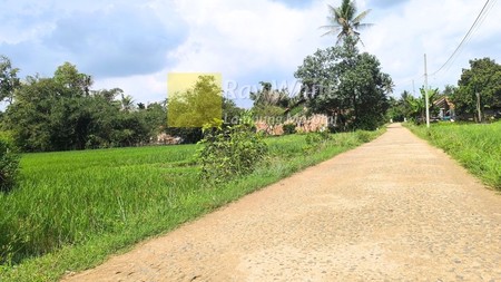 Dijual tanah sawah produktif lokasi desa kalisari merak batin lampung selatan